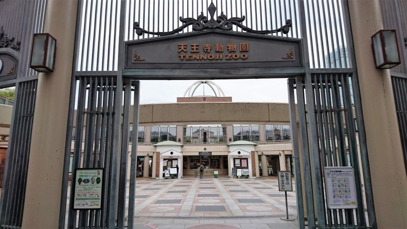 오사카 가볼만한 곳 '덴노지 동물원' 주유패스로 무료 이용 가능 이미지 3